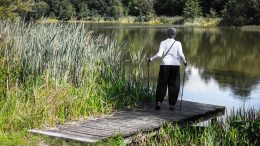 3 activites physiques pour senior